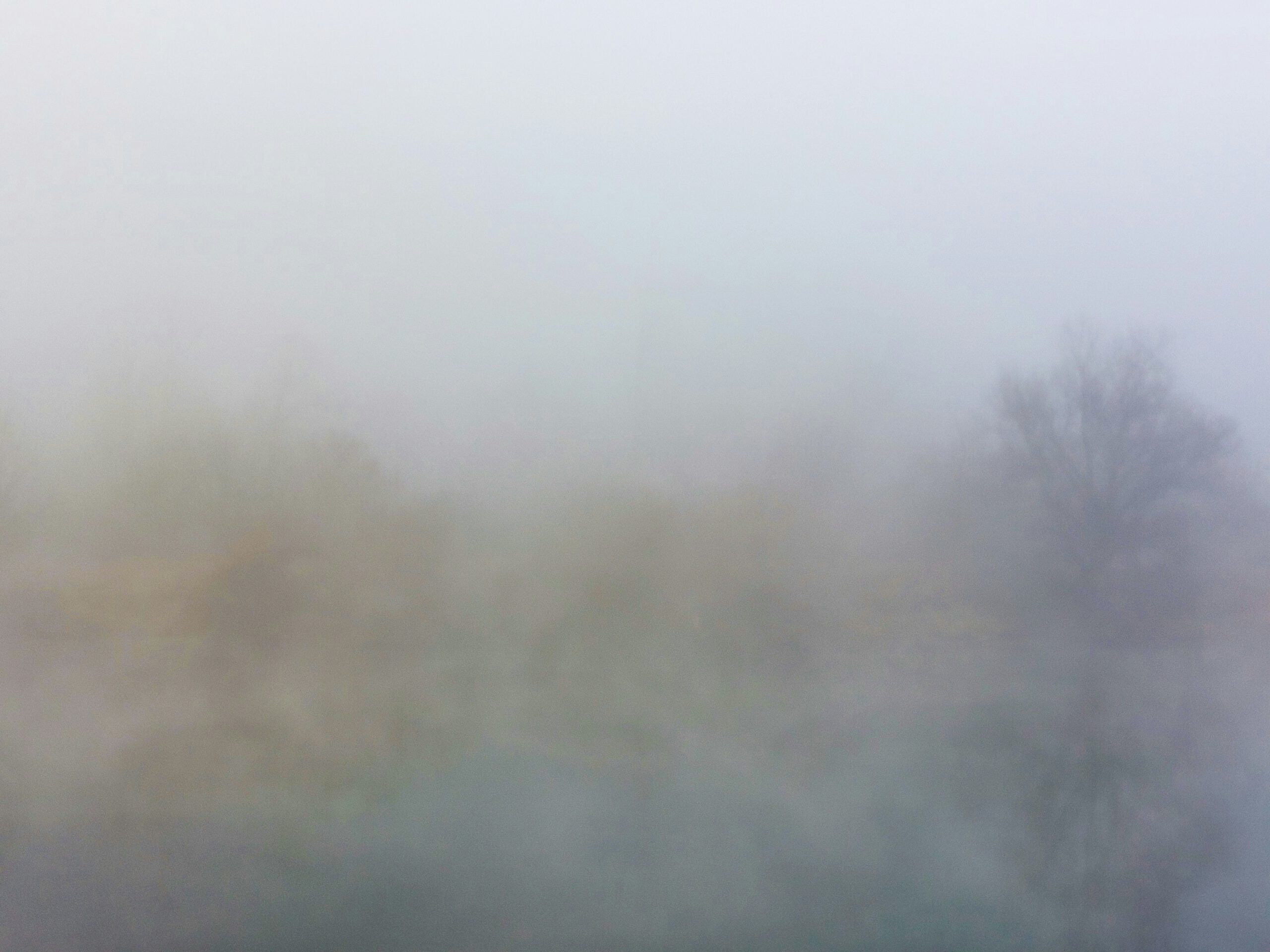 Kapitel 2+3: Herz der Finsternis