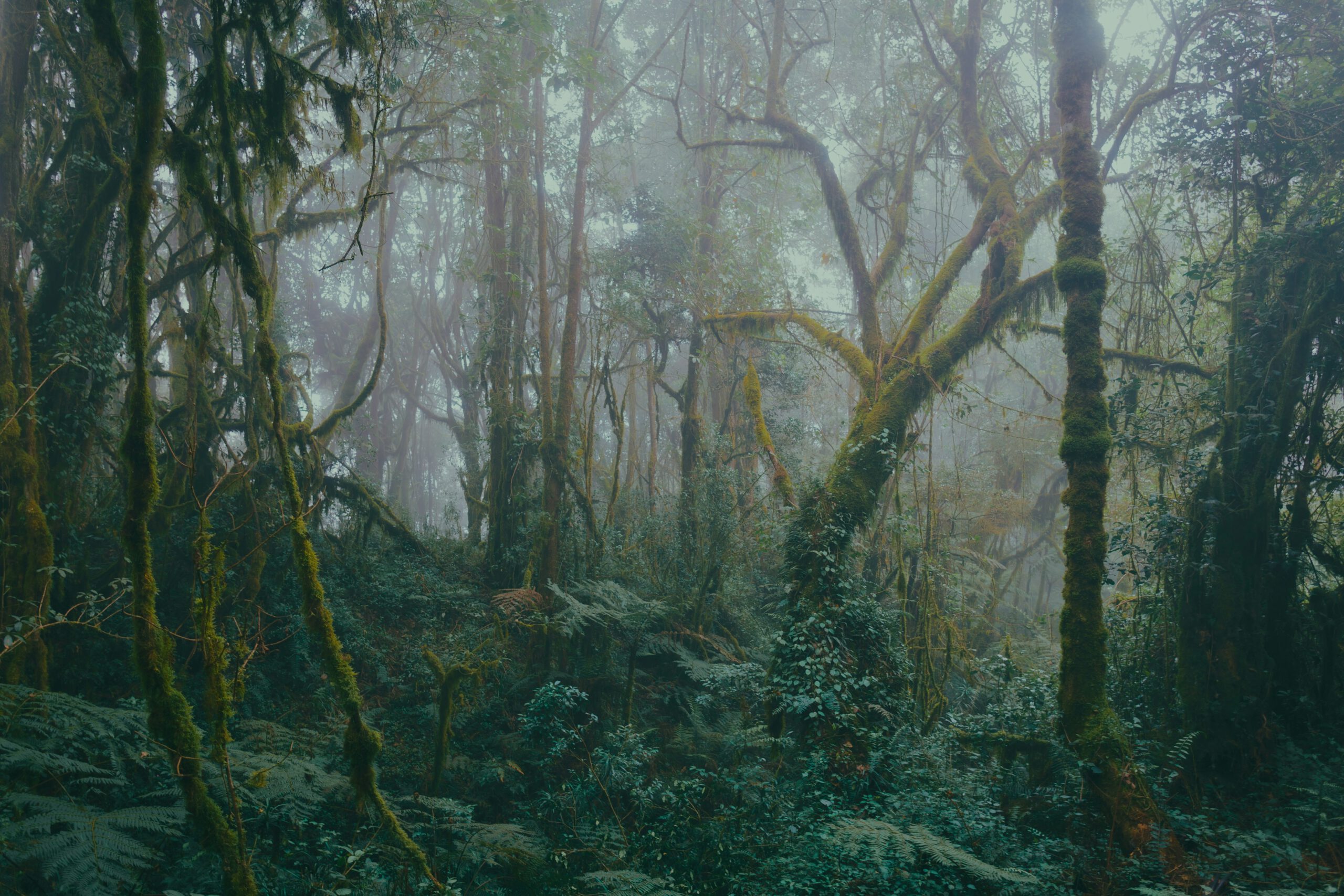 Kapitel 1: Herz der Finsternis